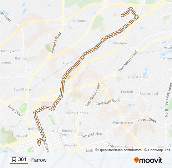 0203 Route: Schedules, Stops & Maps - Cerejeiras (Updated)