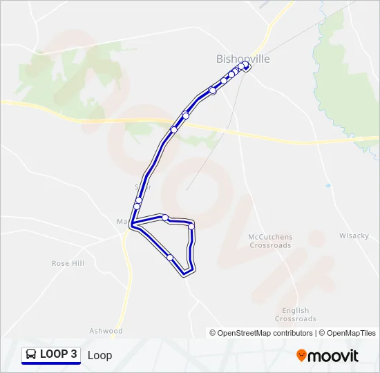 LOOP 3 Bus Line Map