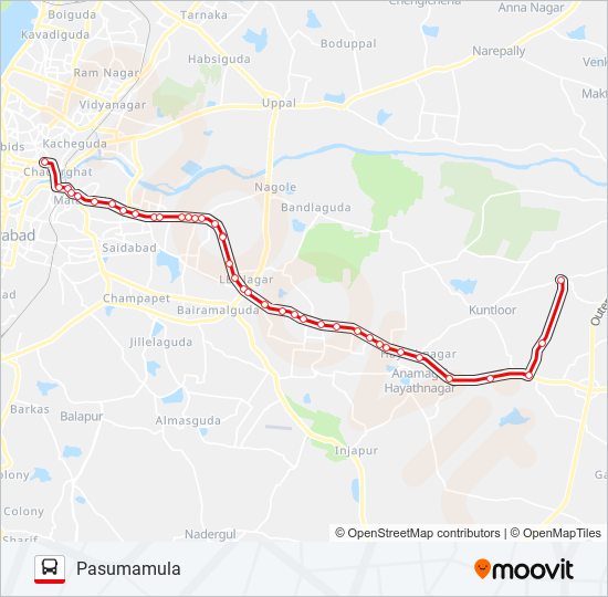 204P bus Line Map