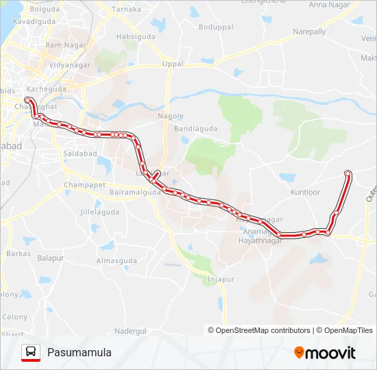 204P Bus Line Map