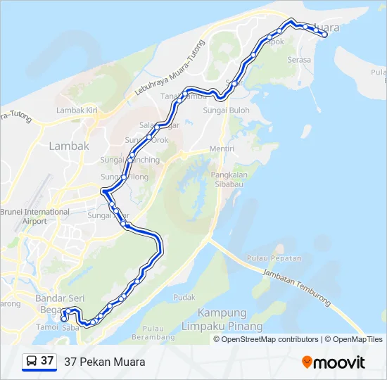 37 Bus Line Map