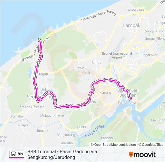 55 Bus Line Map