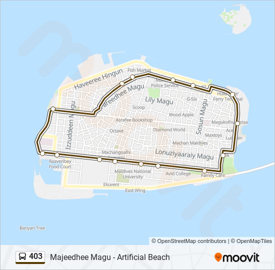 403 Route: Schedules, Stops & Maps - Majeedhee Magu - Artificial Beach