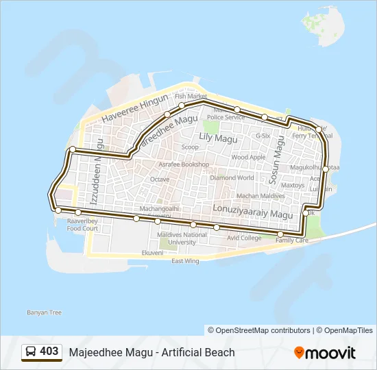 403 Bus Line Map