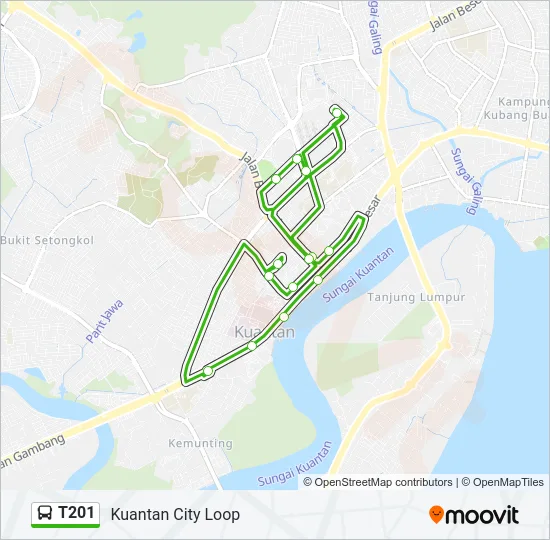 T201 Bus Line Map