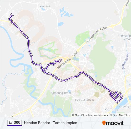 300 Bus Line Map