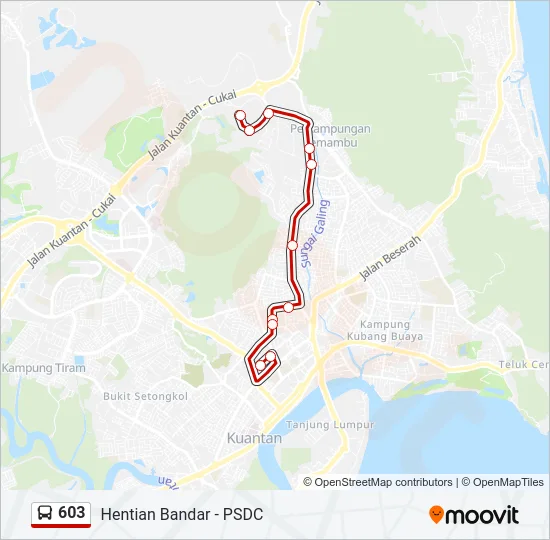 603 Bus Line Map