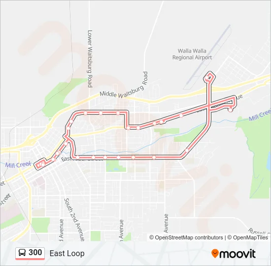300 Bus Line Map