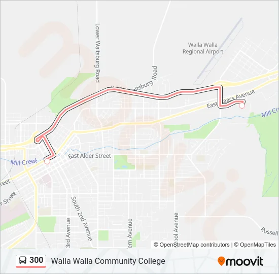 300 Bus Line Map