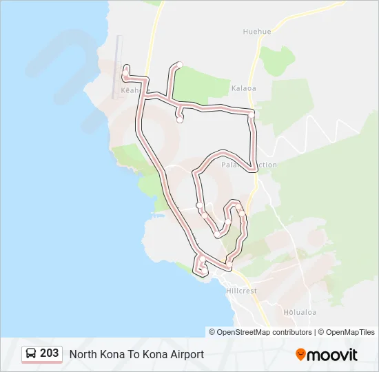 203 Bus Line Map