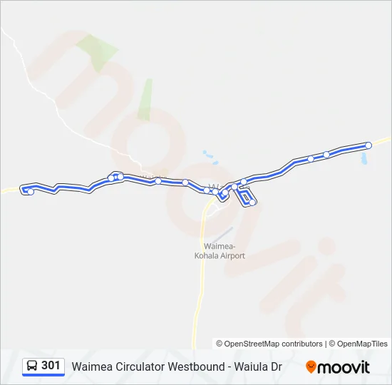 301 Bus Line Map