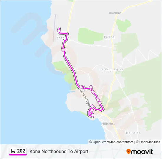 202 Bus Line Map