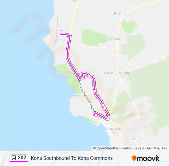 202 Bus Line Map