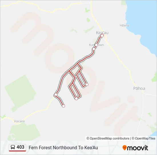 403 Bus Line Map