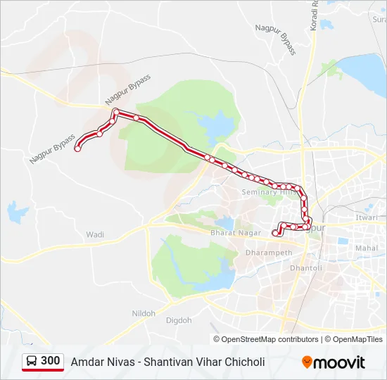 300 Bus Line Map