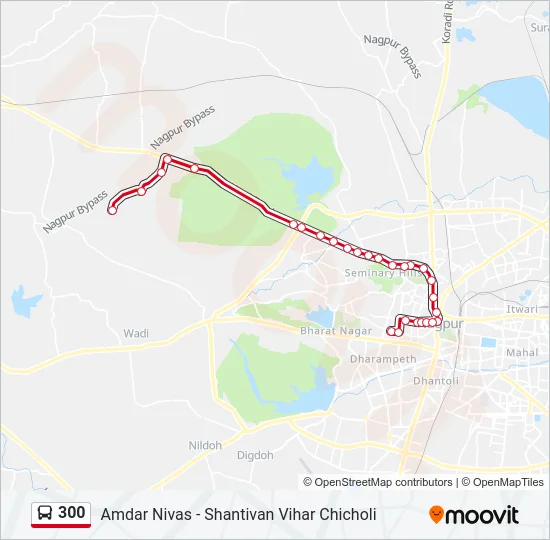 300 Bus Line Map