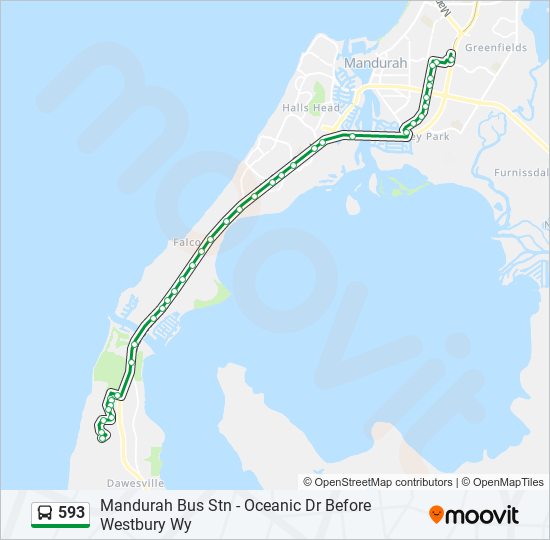 593 bus Line Map