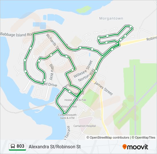 803 Route Schedules Stops Maps Alexandra St Robinson St