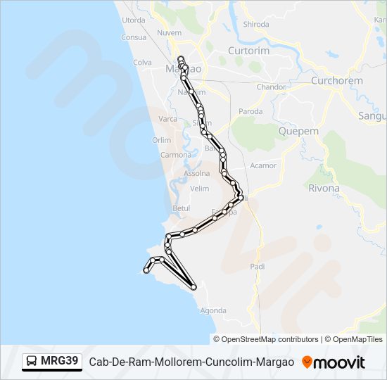 MRG39 Bus Line Map