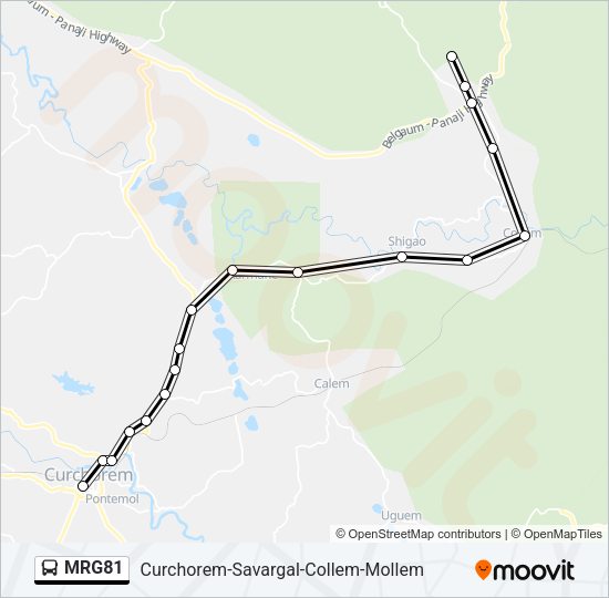 MRG81 Bus Line Map