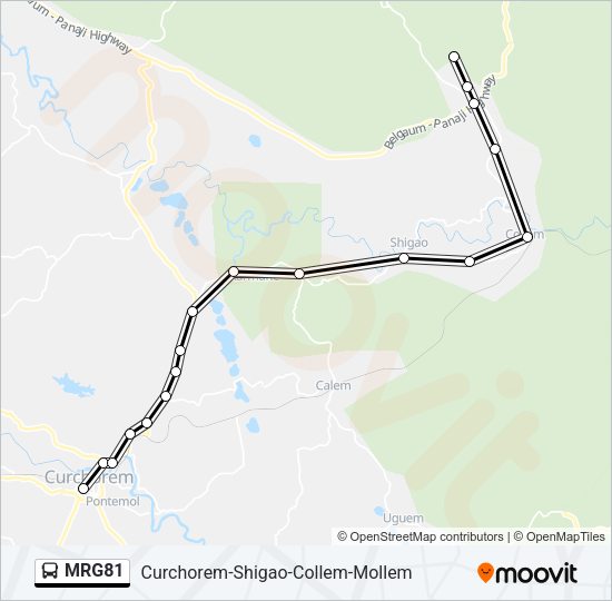 MRG81 Bus Line Map