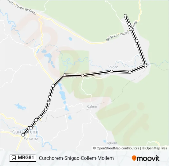 MRG81 Bus Line Map
