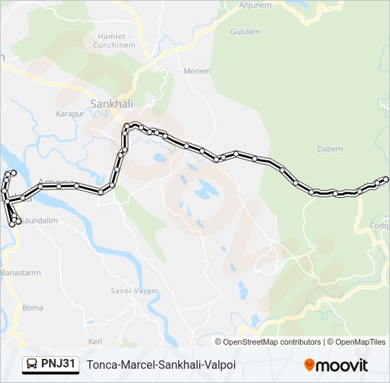 PNJ31 Bus Line Map