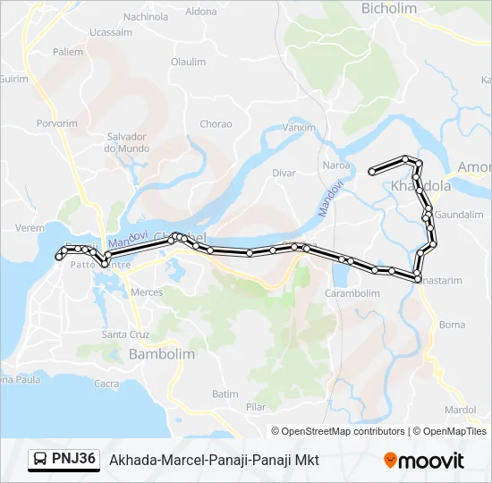 PNJ36 Bus Line Map