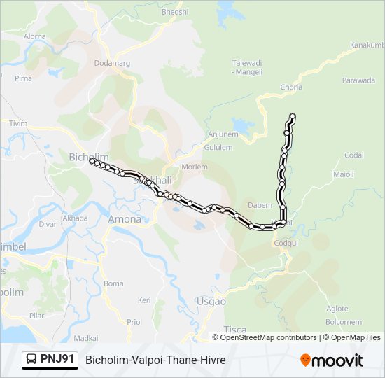PNJ91 Bus Line Map