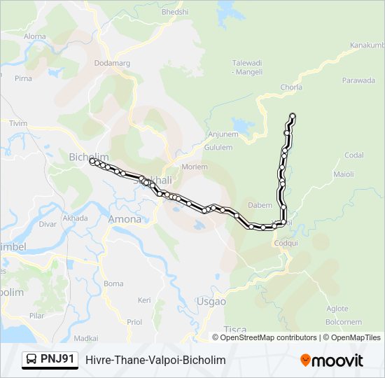 PNJ91 Bus Line Map