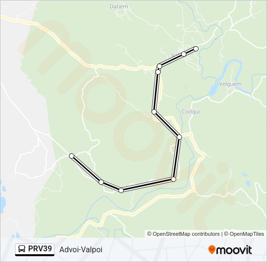 PRV39 Bus Line Map