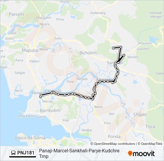 PNJ181 Bus Line Map