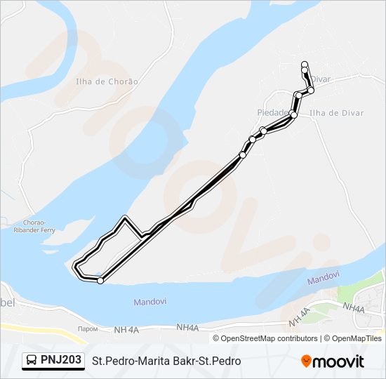 PNJ203 Bus Line Map