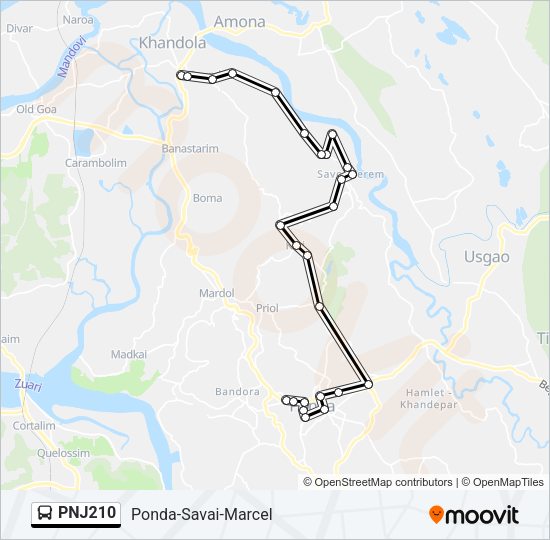 PNJ210 Bus Line Map