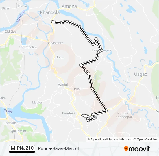 PNJ210 Bus Line Map