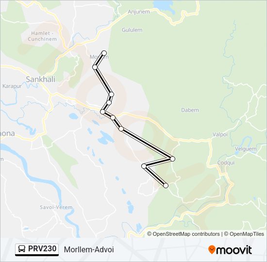 PRV230 Bus Line Map