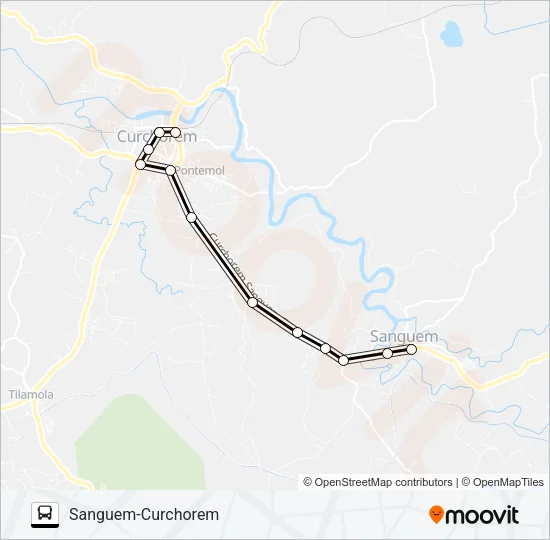 MRG354MB Bus Line Map