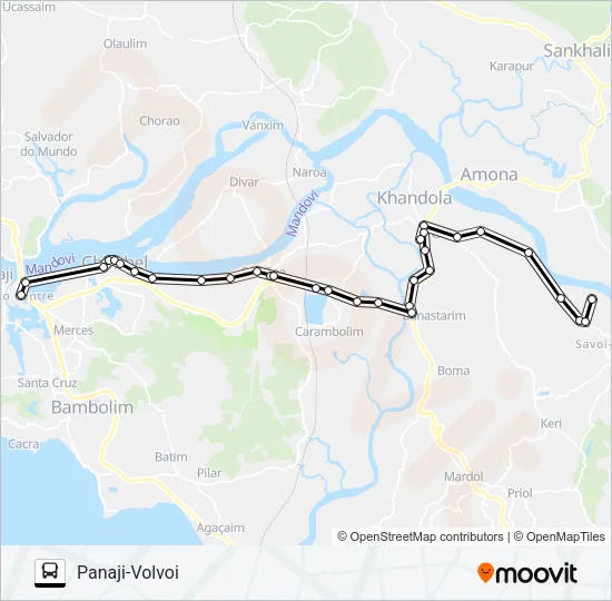 PVT-PNJ38 Bus Line Map
