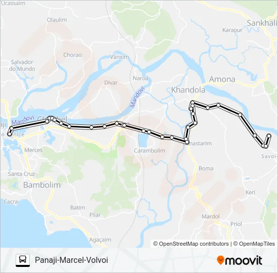 PVT-PNJ38 Bus Line Map