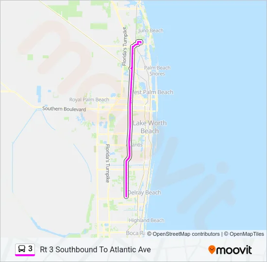 3 Bus Line Map