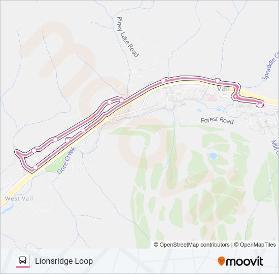 LIONSRIDGE LOOP Bus Line Map