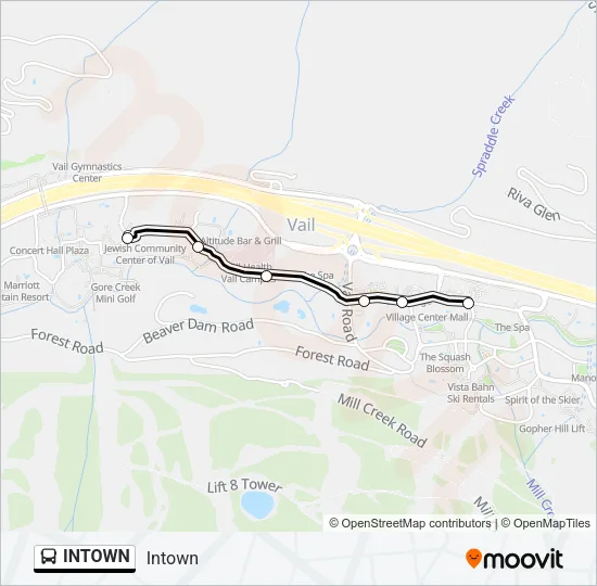 INTOWN Bus Line Map