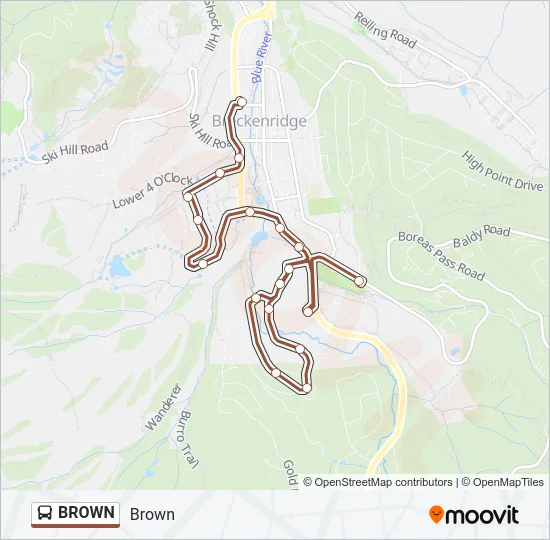 BROWN Bus Line Map