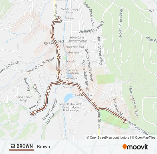 BROWN Bus Line Map