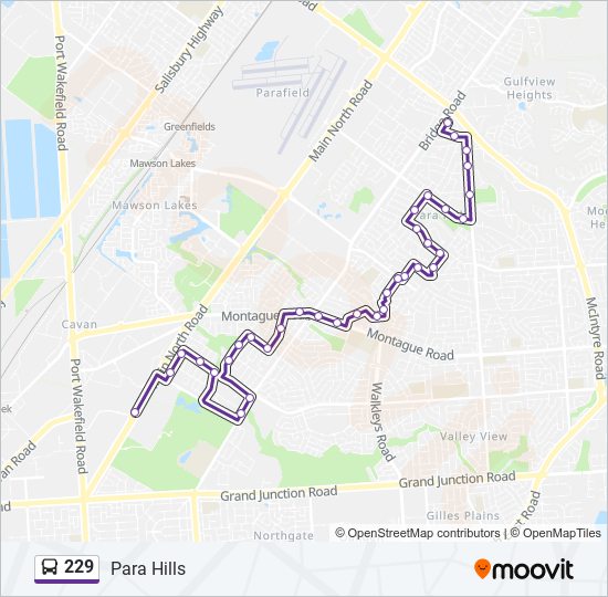 Mapa de 229 de autobús