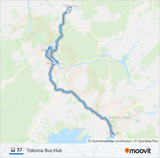 公交37路的线路图