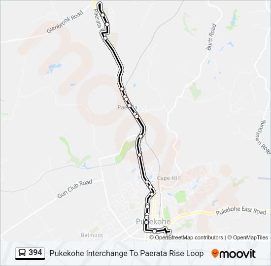 394 Bus Line Map