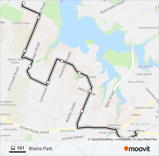 161 Route: Schedules, Stops & Maps - Brains Park (updated)