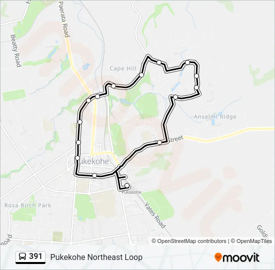 391 Bus Line Map