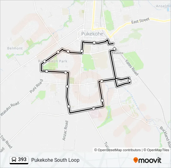 393 Bus Line Map